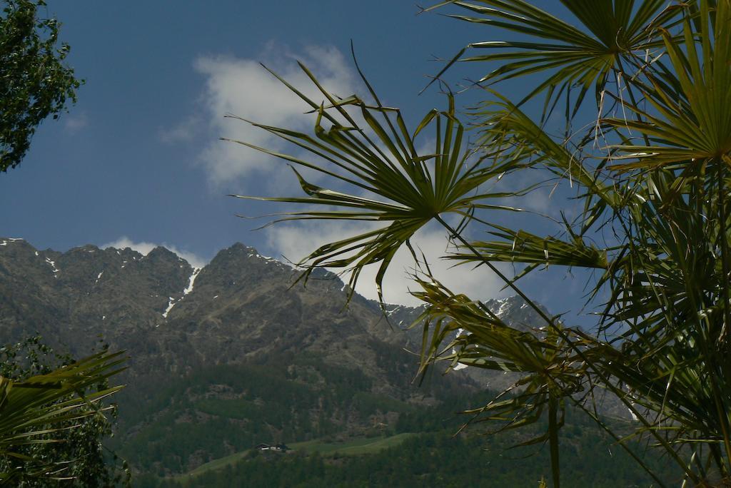 Alpina Residence Naturns Exteriör bild